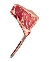 Steak on a skewer, isolated on white background vector