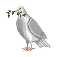 A white pigeon with a green branch in its mouth vector