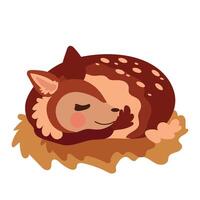 A cute deer sleeping in a nest vector