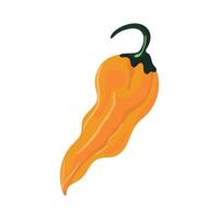 A yellow chili pepper on a white background vector