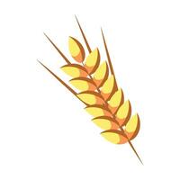 A wheat ear on a white background vector