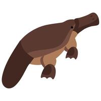 An illustration of a platypus vector