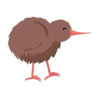 A kiwi bird is standing on its hind legs vector