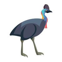 An illustration of a colorful bird vector