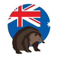 An australian hedgehog in front of the australian flag vector