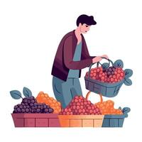 Man picking berries in a basket vector