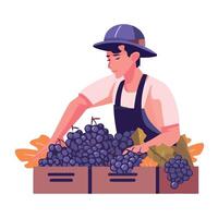 A man in an apron is sorting grapes vector