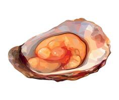 An illustration of an oyster with a baby inside vector