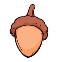An acorn is shown in cartoon style vector
