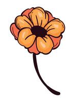 An orange flower with a black center on a white background vector