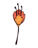 A flower with a stem and leaves on it vector
