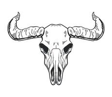 A bull skull with horns on a white background vector