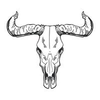 A bull skull with horns on a white background vector