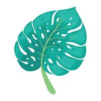 Tropical monstera leaf illustration vector