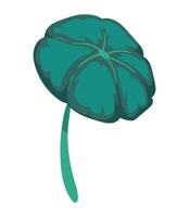 A green leaf with a stem on a white background vector