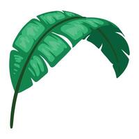 Banana leaf icon illustration vector