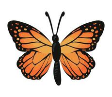 A butterfly with orange wings on a white background vector