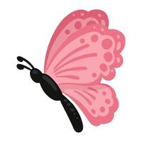 A pink butterfly with black wings on a white background vector
