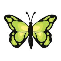 A green butterfly with black wings on a white background vector