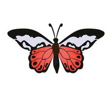 A red and black butterfly on a white background vector