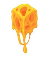 A piece of cheese with melted cheese on it vector