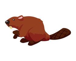 A cartoon beaver with a long tail and a long nose vector