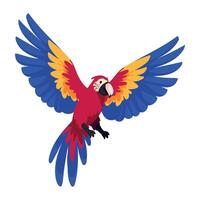 A colorful parrot flying in the air vector