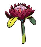 A flower with a stem and leaves vector