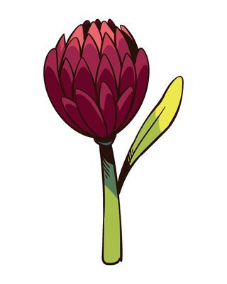 A red flower with green leaves on a white background