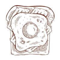 Egg and bacon on a toast bread. Hand drawn line art illustration. Detailed food drawing for packaging, advertisement, menu vector