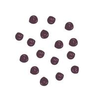 Black pepper top view isolated on white background .Flat doodle illustration for food and drink design ,spice hand drawn illustration vector
