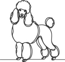 hand drawn line art illustration of Toy Poodle in side view vector