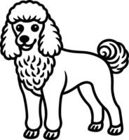 hand drawn line art illustration of Toy Poodle in side view vector