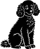 poodle dog in different poses, clipart, silhouette design. vector