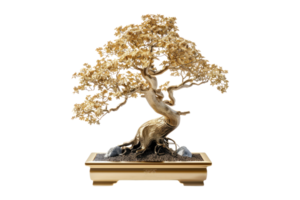 Golden bonsai tree trophy isolated on transparent background. png