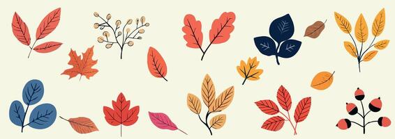 Hand drawn autumn leaf and berries collection. Set featuring various colorful leaves and berries in a warm and cozy fall palette on a light background. Fall season. vector