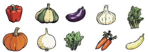 Autumn harvest. Colorful collection of hand drawn vegetables bell pepper, squash, eggplant, garlic, lettuce, pumpkin, onion, carrots, on a white background. vector