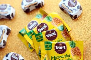 KYIV, UKRAINE - APRIL 20, 2024 Wawel chocolate production. Wawel is polish confectionery company producing chocolates wafers and snacks founded in 1898 photo