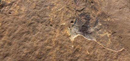 High resolution rock textures and background patterns. photo