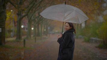A woman walks in the park in autumn with a transparent umbrella shielding her from the rain video