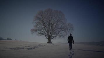 A solitary figure is seen walking towards a tree in a snowcovered field during dawn video