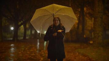 A woman stands under an umbrella in a rainy park at night, creating a moody and atmospheric scene video