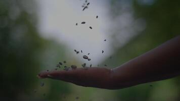 By feeling the soil and debris in your hand, you establish a strong connection with nature video