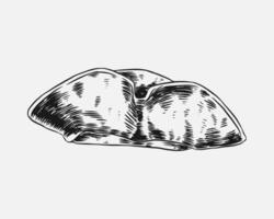 Pirate hat sketch hand drawn graphic illustration. vector