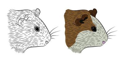 Set of Black Outline and Colored Guinea Pig Head Drawn in Graphic Style vector
