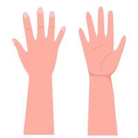 Left and right Raised hand with open palm vector