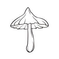 Deadly Webcap mushroom in line art style. Mature mushroom with a wide cap. Autumn design. illustration isolated on a white background. vector