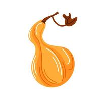 Yellow ripe pumpkin in cartoon style. Autumn design. illustration isolated on a white background. vector