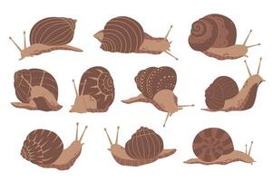 Set of realistic flat brown snails. Detailed minimalistic illustration. Gastropod mollusk with shell. French cuisine vector