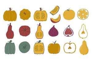 Set of autumn harvest pumpkins, apples, orange, fig and pear in flat minimalistic style. illustration top view, full and in section. vector